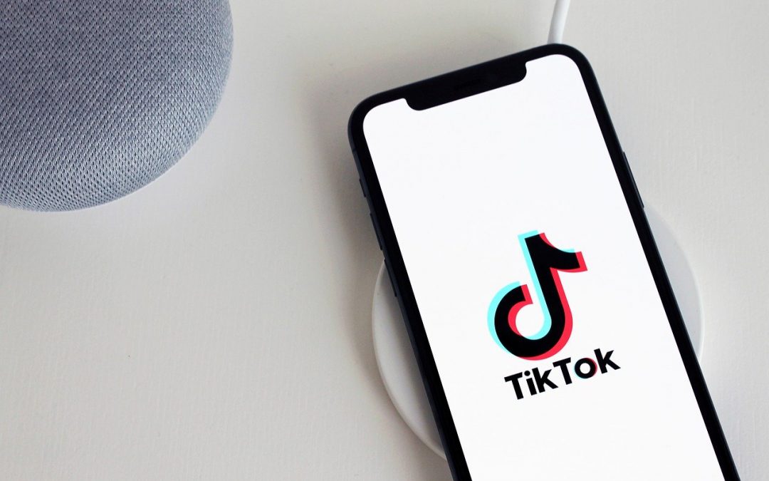 Vleeko Blog TikTok Logo App