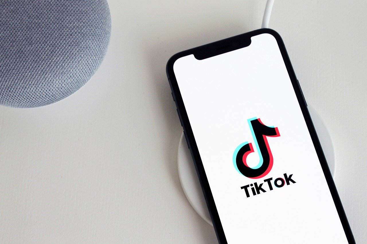 Vleeko Blog TikTok Logo App