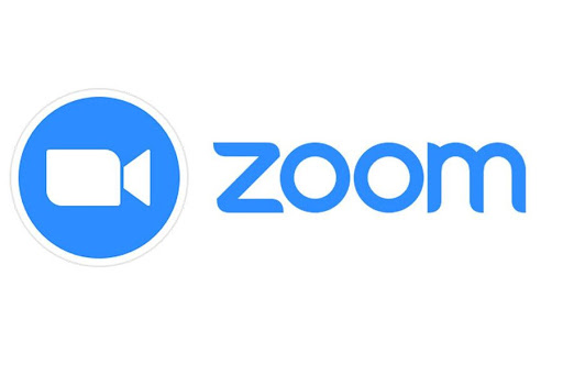 Vleeko Blog Zoom Logo