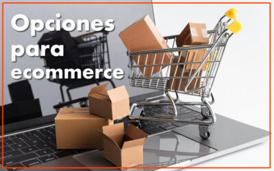 Opciones para hacer mi tienda en línea