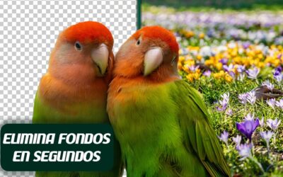 Elimina fondos en segundos
